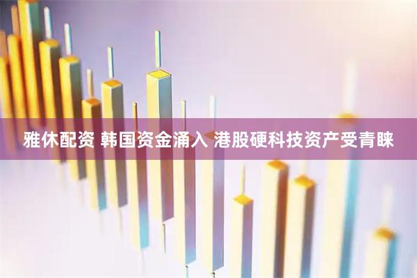 雅休配资 韩国资金涌入 港股硬科技资产受青睐